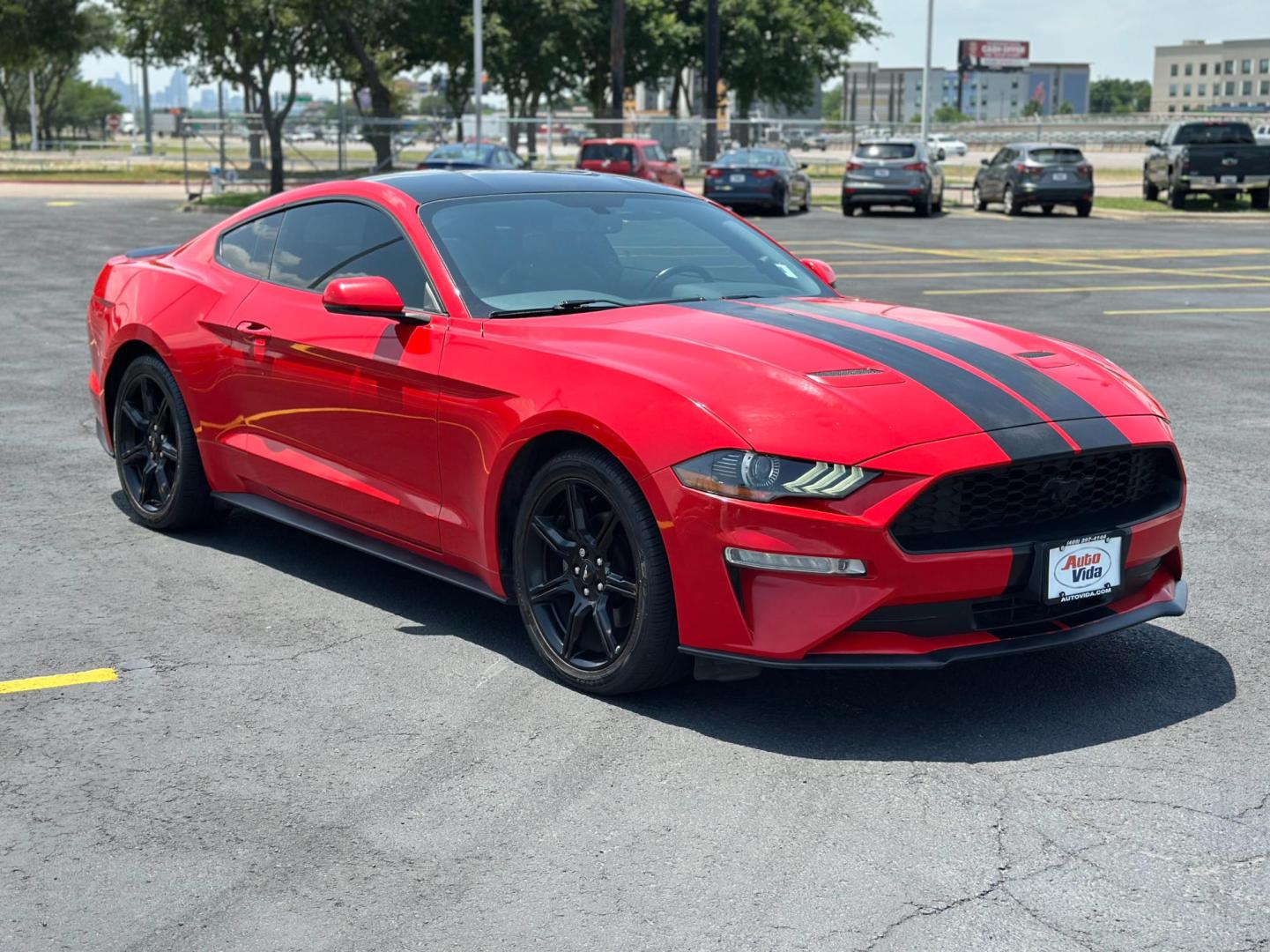 2019 RED Ford Mustang EcoBoost Coupe (1FA6P8TH4K5) with an 2.3L L4 DOHC 16V engine, located at 8640 E R L Thornton Fwy, Dallas, TX, 75228, (469) 297-4144, 32.794128, -96.693008 - Photo#2