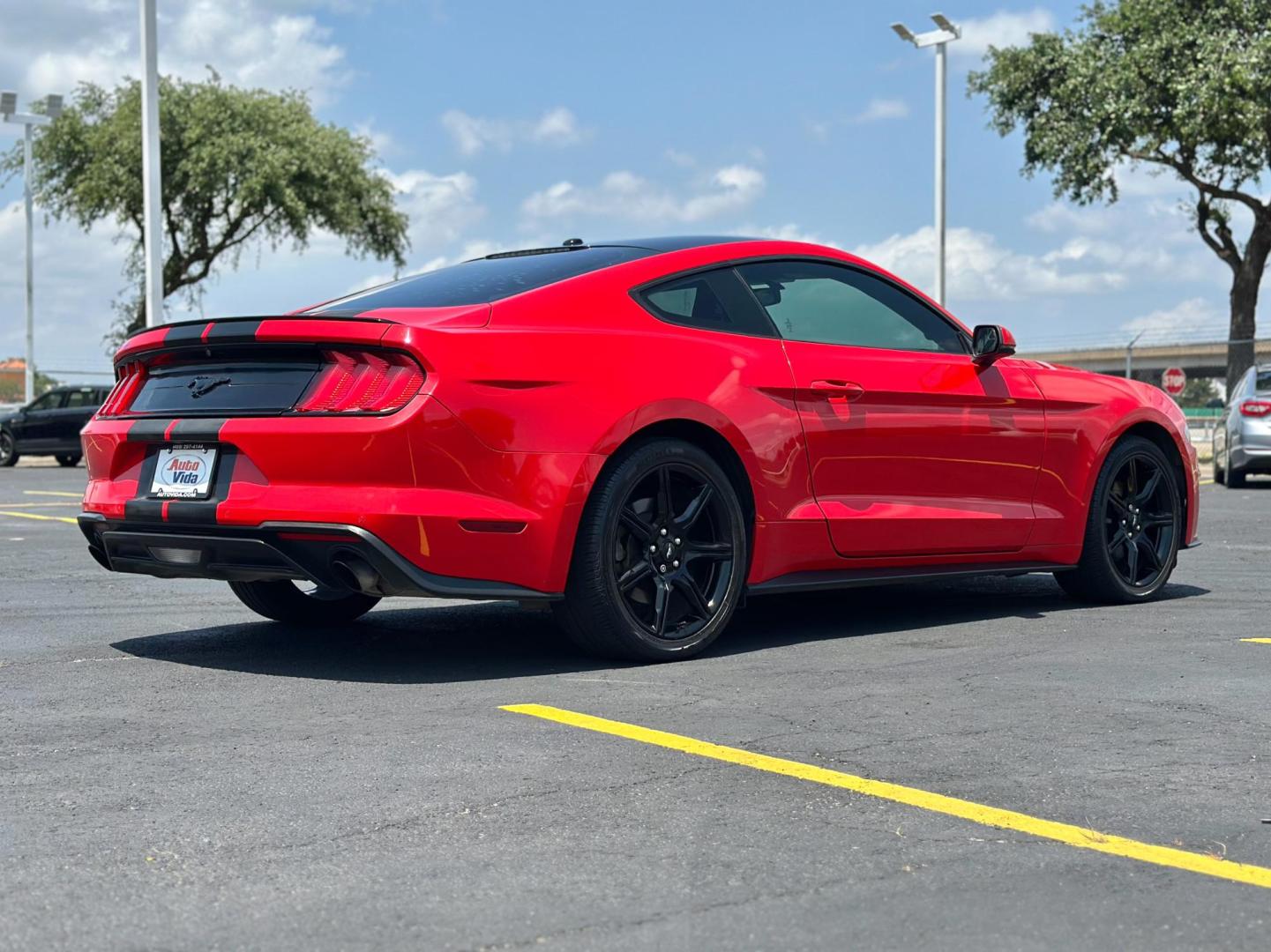 2019 RED Ford Mustang EcoBoost Coupe (1FA6P8TH4K5) with an 2.3L L4 DOHC 16V engine, located at 8640 E R L Thornton Fwy, Dallas, TX, 75228, (469) 297-4144, 32.794128, -96.693008 - Photo#3