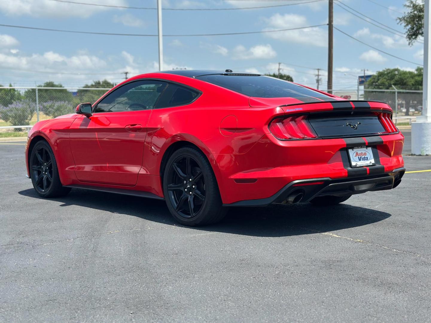 2019 RED Ford Mustang EcoBoost Coupe (1FA6P8TH4K5) with an 2.3L L4 DOHC 16V engine, located at 8640 E R L Thornton Fwy, Dallas, TX, 75228, (469) 297-4144, 32.794128, -96.693008 - Photo#5