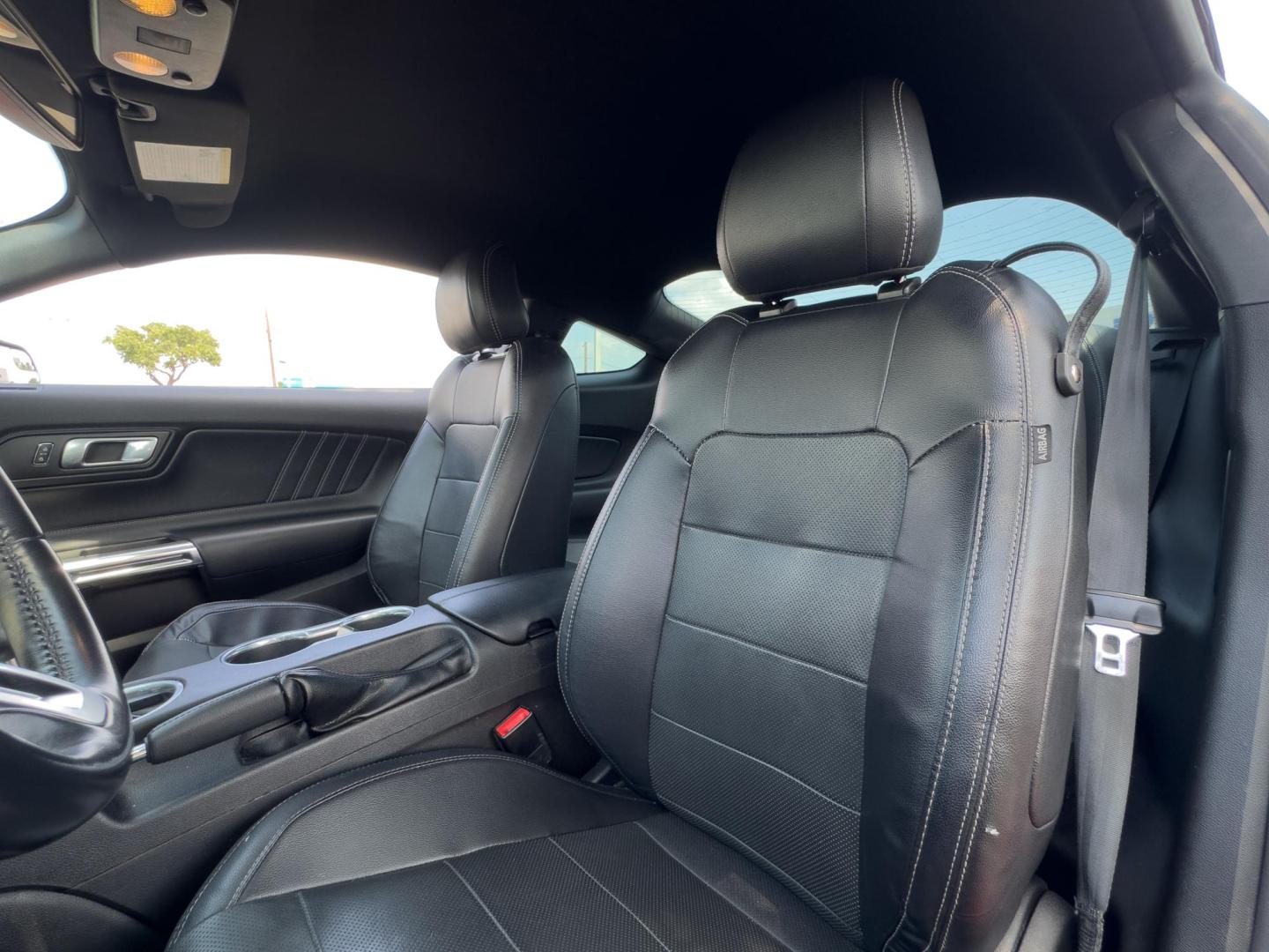 2019 RED Ford Mustang EcoBoost Coupe (1FA6P8TH4K5) with an 2.3L L4 DOHC 16V engine, located at 8640 E R L Thornton Fwy, Dallas, TX, 75228, (469) 297-4144, 32.794128, -96.693008 - Photo#13