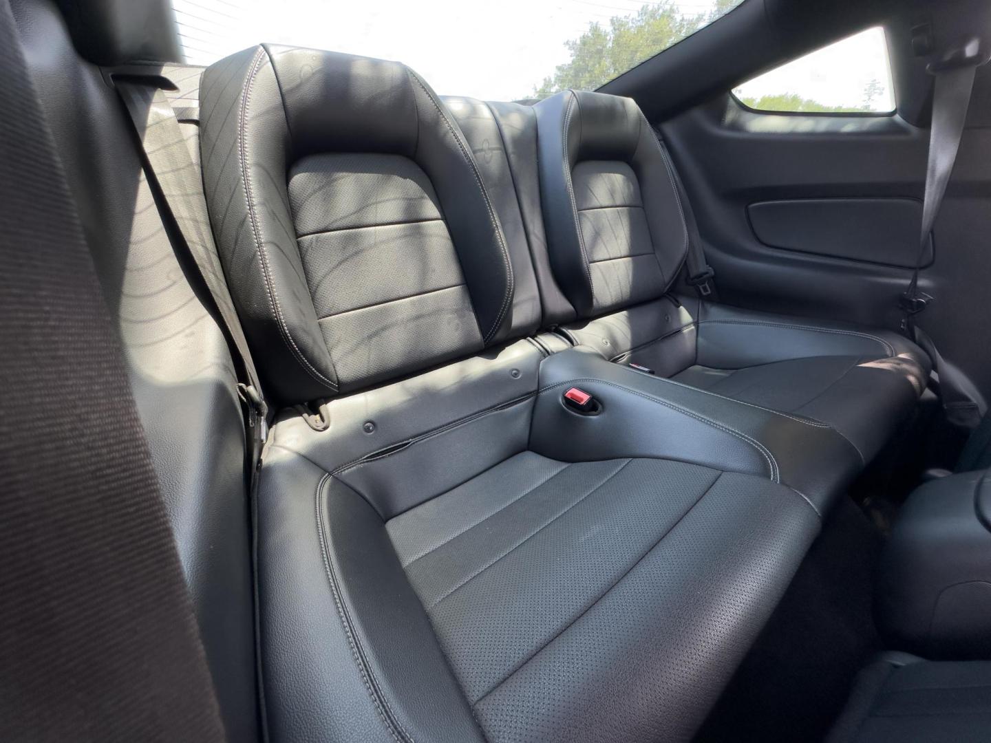 2019 RED Ford Mustang EcoBoost Coupe (1FA6P8TH4K5) with an 2.3L L4 DOHC 16V engine, located at 8640 E R L Thornton Fwy, Dallas, TX, 75228, (469) 297-4144, 32.794128, -96.693008 - Photo#16