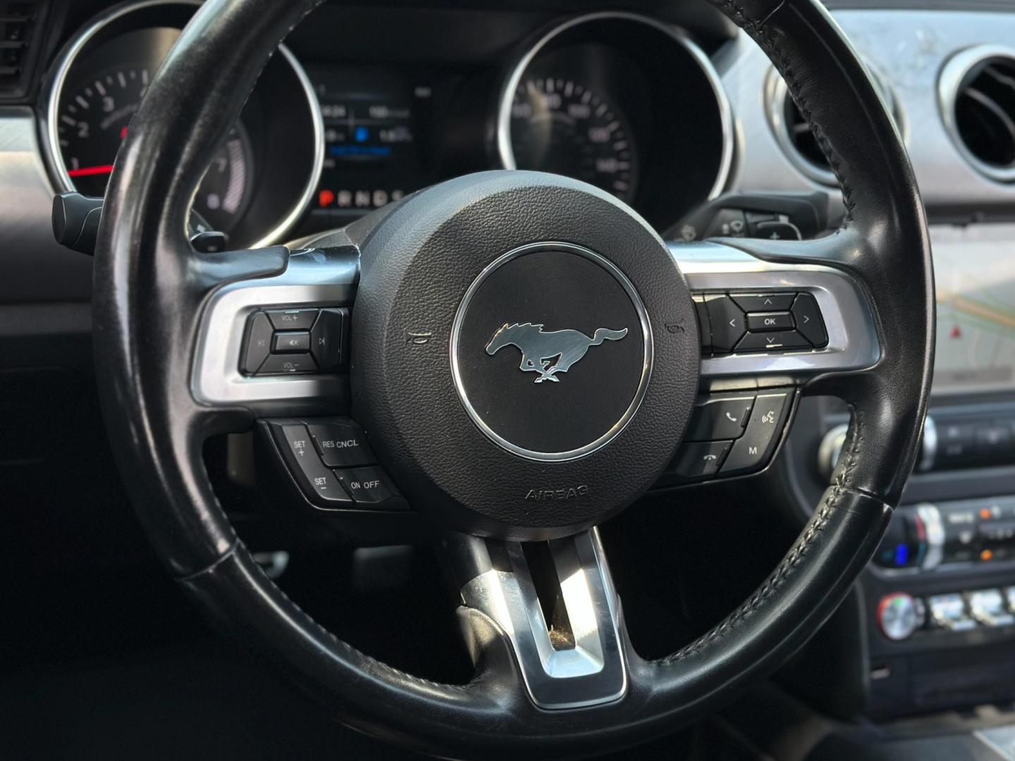 2019 RED Ford Mustang EcoBoost Coupe (1FA6P8TH4K5) with an 2.3L L4 DOHC 16V engine, located at 8640 E R L Thornton Fwy, Dallas, TX, 75228, (469) 297-4144, 32.794128, -96.693008 - Photo#18